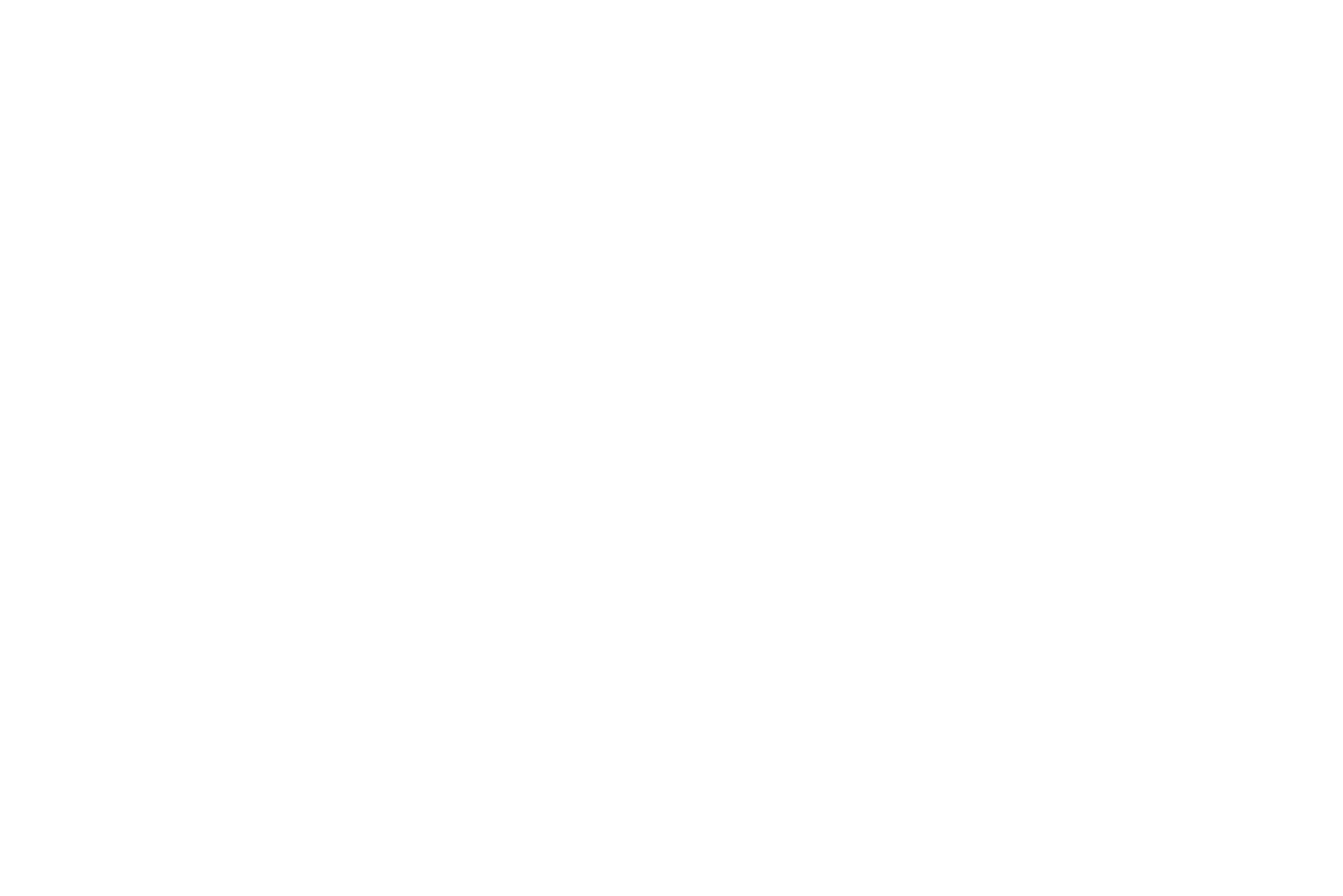 Holiday Inn